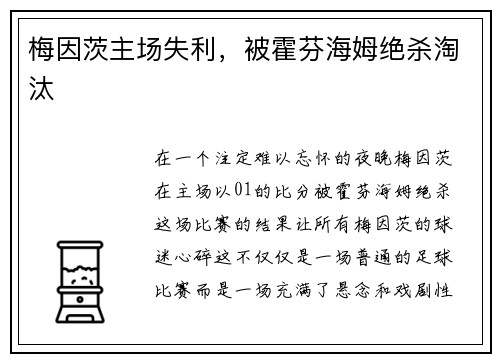 梅因茨主场失利，被霍芬海姆绝杀淘汰